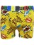 Renkli Boxer 1