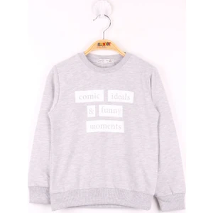 Erkek Çocuk Baskılı Sweatshirt