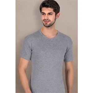2009 Süper Penye Gri Erkek V Yaka