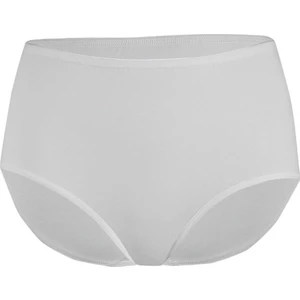 Özten 113 Modal 3'lü Paket Yüksek Bel Toparlayıcı Kadın Bato Külot