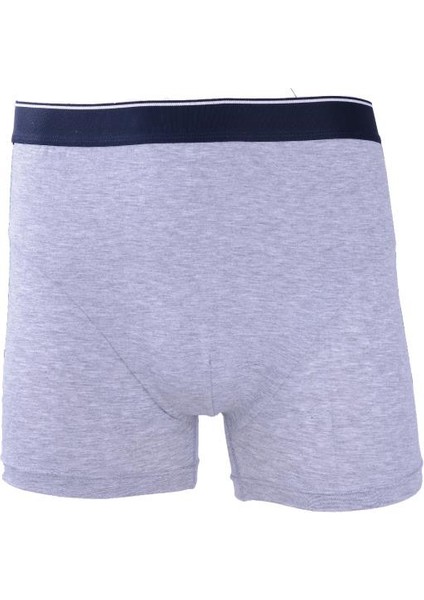 Erkek Modal Boxer 041904