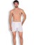 1012 Penye Erkek Arjantin Boxer 1