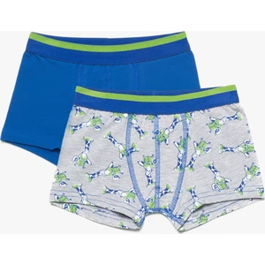 Erkek Çocuk 2'Li Boxer Saks