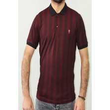 Paul Fredy Polo Yaka Çizgili T-Shirt Bordo