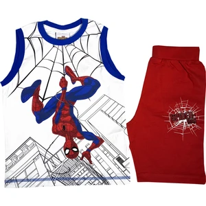 Spiderman Erkek Çocuk T-Shirt Takım - WD3350