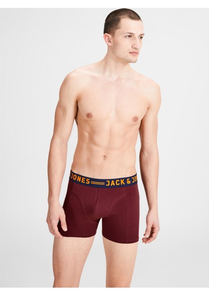 Erkek BURGUNDY Boxer