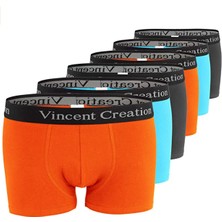 Alexander Gardi Erkek Boxer 6'lı Ekonomik Paket Çok Renkli L