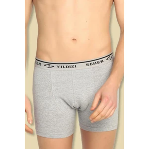 Seher Yıldızı Erkek Gri 6'lı Paket Likralı Pamuk Düz Renk Boxer