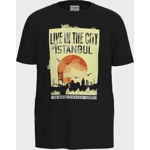 LC Waikiki Erkek Çocuk T-Shirt
