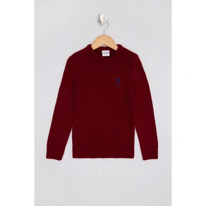 U.S. Polo Assn. Erkek Çocuk Triko Kazak 50206128-VR014