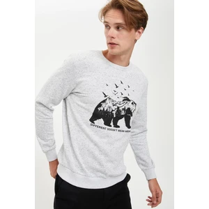 Slim Fit Bisiklet Yaka Hayvan Desenli Uzun Kollu Sweatshirt R8556AZ20AU