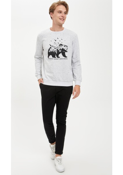 Slim Fit Bisiklet Yaka Hayvan Desenli Uzun Kollu Sweatshirt R8556AZ20AU fiyatları