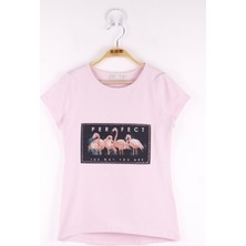 Toontoy Kız Çocuk Flamingo Baskılı T-Shirt