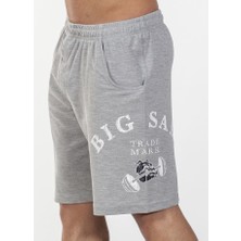 Big Sam Gri Klasik Şort 1430