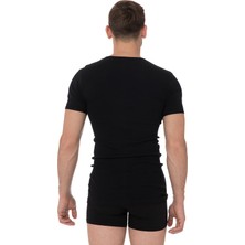 Dorea Erkek Ribana Biyeli O Yaka Fanila 2'li Paket