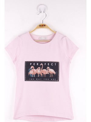 Toontoy Kız Çocuk Flamingo Baskılı T-Shirt