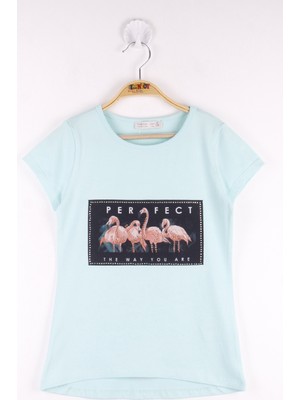 Toontoy Kız Çocuk Flamingo Baskılı T-Shirt