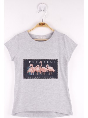 Toontoy Kız Çocuk Flamingo Baskılı T-Shirt