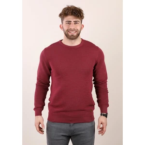 Alexander Gardi Bisiklet Yaka Regular Fit Casual Kazak Yeni Sezon