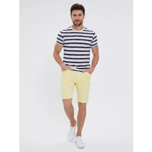 Slim Fit Erkek Şort