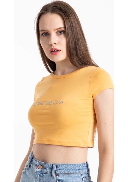 Coachella Basic Crop Hardal fiyatları