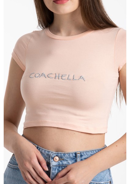 Coachella Basic Crop Pudra fiyatları