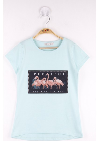 Kız Çocuk Flamingo Baskılı T-Shirt