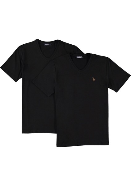 İkili Set T8568 V Yaka Erkek T-Shirt modelleri