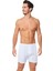 Erkek Beyaz 3'lü Arjantin Boxer 1