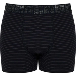 Erkek Berrak 3 Adet Çizgili Boxer 4475