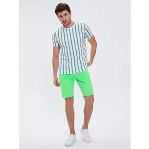 Slim Fit Erkek Şort