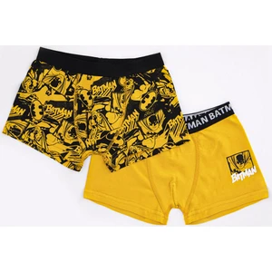 Lisanslı Erkek Çocuk 2'li Boxer Seti