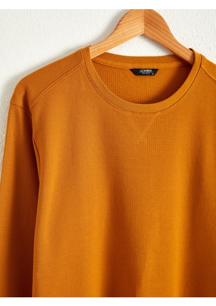 Bisiklet Yaka Erkek Sweatshirt