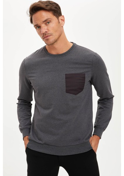 Slim Fit Bisiklet Yaka Uzun Kollu Sweatshirt S1299AZ20AU