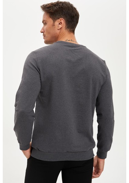 Slim Fit Bisiklet Yaka Uzun Kollu Sweatshirt S1299AZ20AU