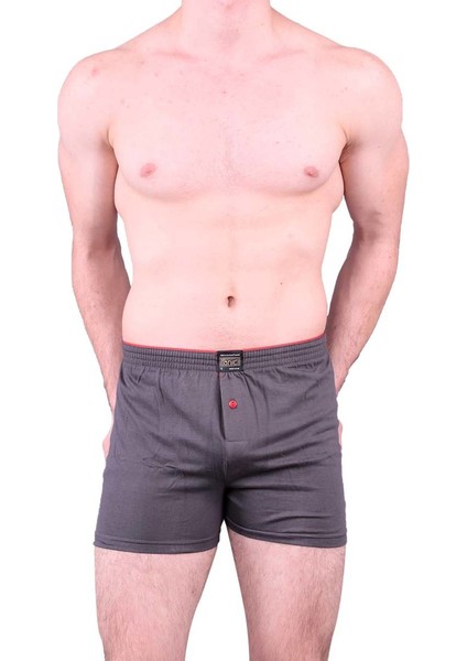 Boxer 1146