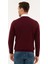 Erkek Bordo Slim Fit V Yaka Basic Triko Kazak 50230806-VR014 5