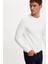 Slim Fit Bisiklet Yaka Cepsiz Uzun Kollu Sweatshirt R3381AZ20AU 1