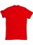 Erkek Polo Yaka T-Shirt Kırmızı 2