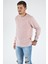 Terapi Men Erkek Bisiklet Yaka Sweatshirt 20Y-5200313 Pembe 1