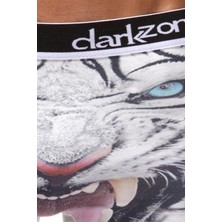 Darkzone 3D Boxer