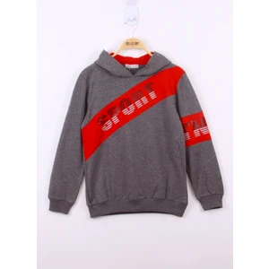 Erkek Sport Baskılı Sweatshirt