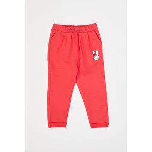 Kız Bebek Regular Fit Eşofman Alt R8452A220AU