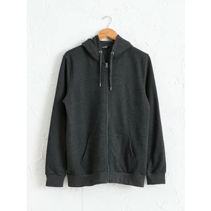 LC Waikiki Erkek Kapüşon Yaka Sweatshirt