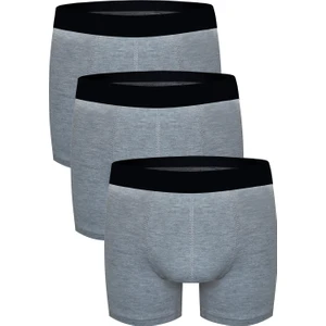 3'lü Boxer