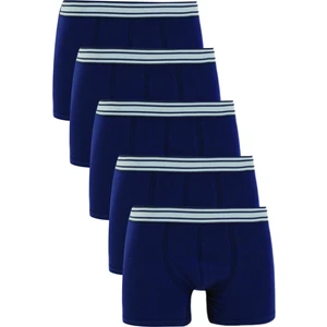 5'li Boxer