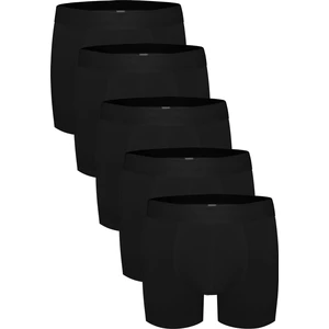 5'li Boxer