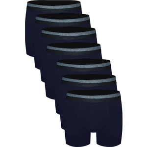 7'li Boxer