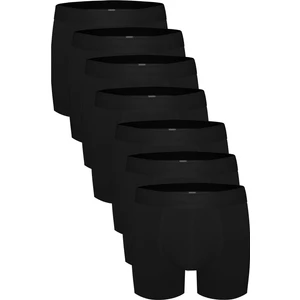 7'li Boxer