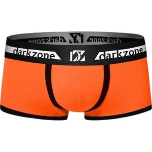 Turuncu Erkek Boxer
